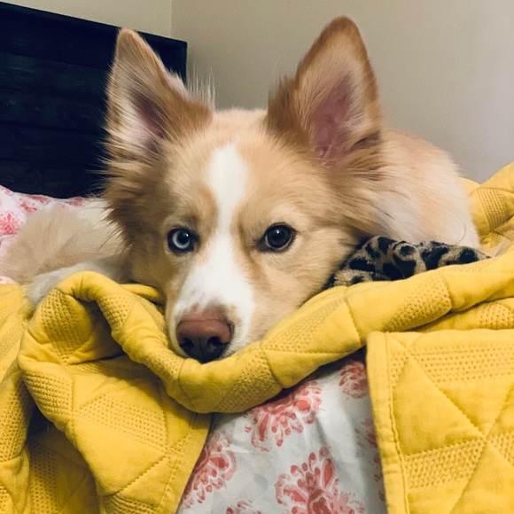 Meet your Posher, Jessica - Picture 10 of 16